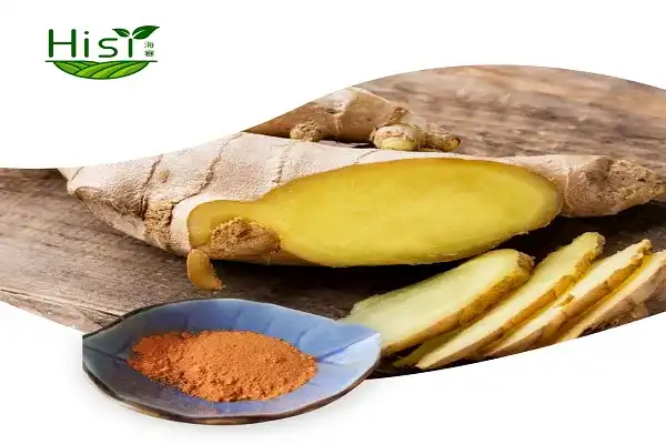 Difference between curcumin 95% and water‑soluble curcumin